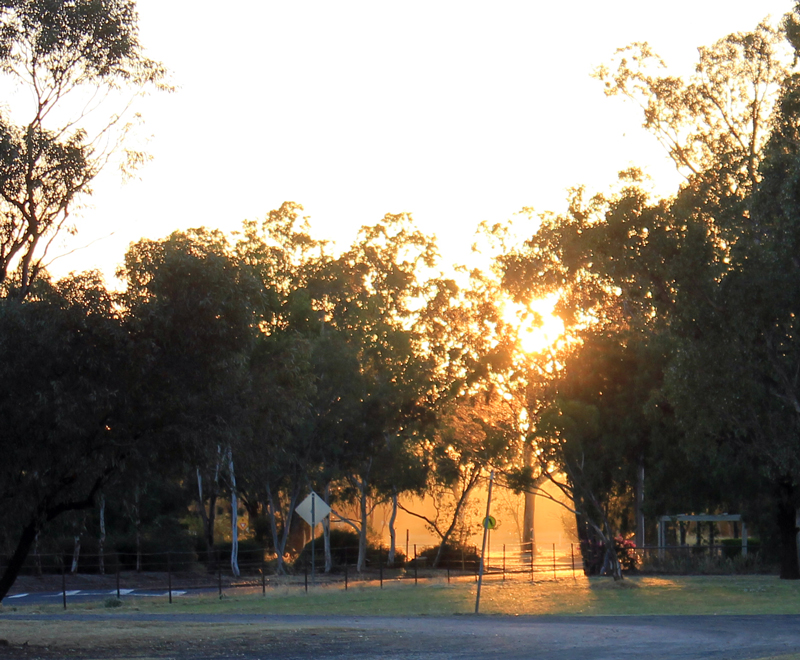 Talwood Sunrise
