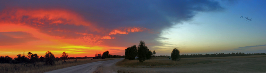 Talwood Sunrise