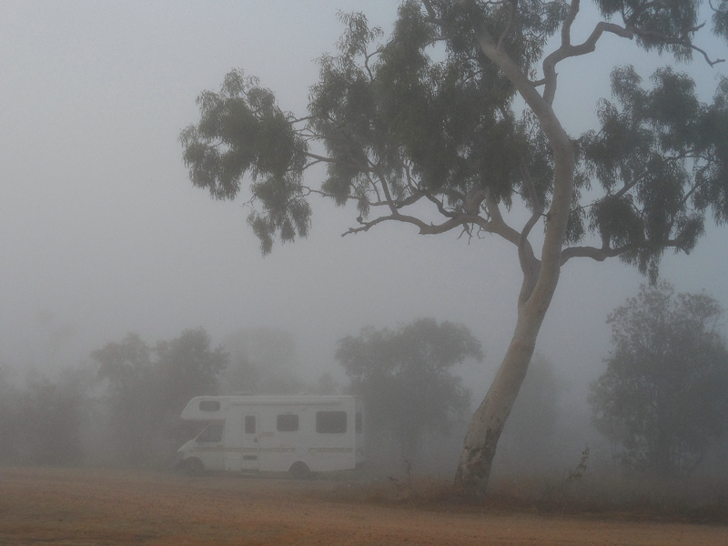 Fletcher Creek Foggy Camp