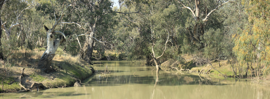 Lachlan River