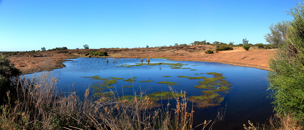 Newman Rocks Waterhole